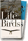 The Life of Birds