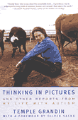Thinking in Pictures